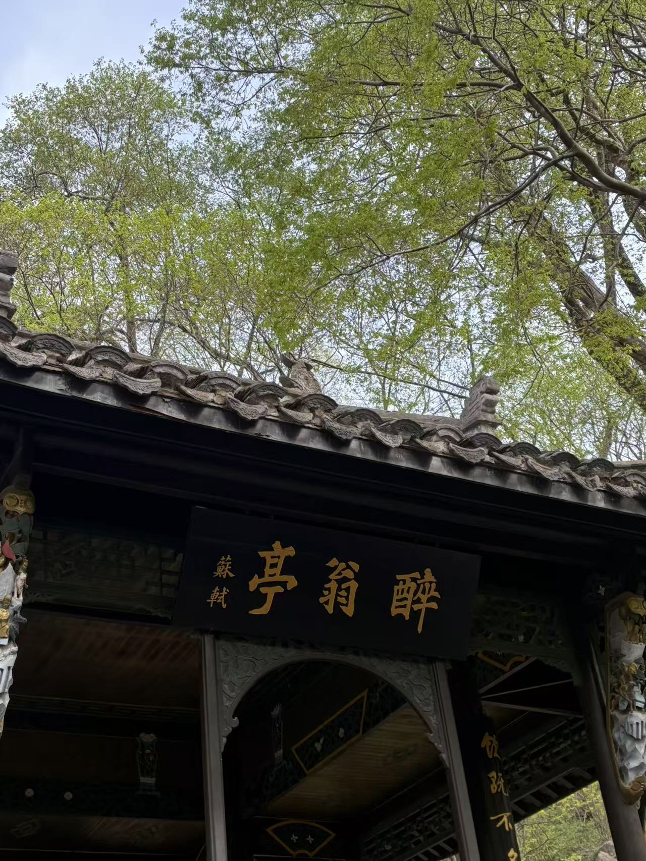 微信图片_20250331105533.jpg