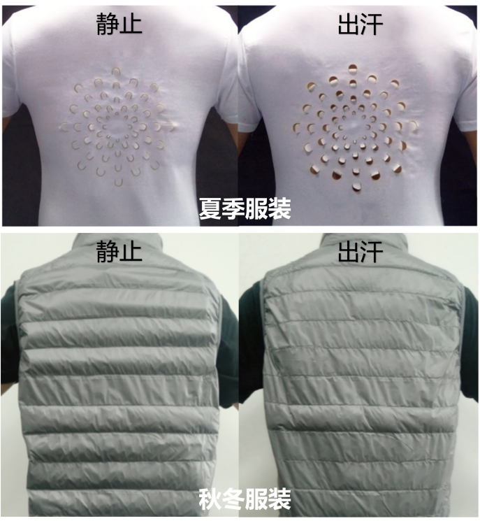0f14eaa0d050b7dbb5f255b8877acf7a.png